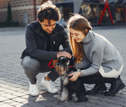 Kiszúrta a család kutyáját a rétisas: ami ezután történt, azon az egész világ nevet - Videó