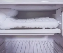 Tegyél egy érmét a fagyasztóba: sokan nem tudják, de életet is menthet ez a trükk