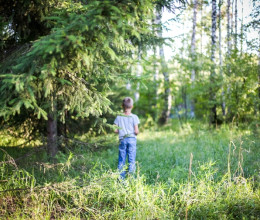 Elkószált az édesapja mellől, napokig étlen-szomjan vándorolt egy ötéves kisfiú: meghökkentő, milyen állapotban találtak rá