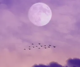 Napi horoszkóp, 2025.12.02.: Valaki vagy valami felkavarhatja a Rák lelki világát