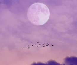 Napi horoszkóp, 2026.02.08: Egy találkozás sokkal többet fog nyújtani a Halaknak, mint azt gondolná