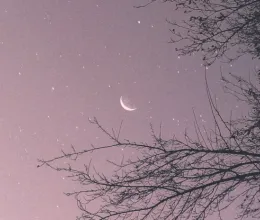 Napi horoszkóp, 2025.11.28.: Munka vagy karrier területén váratlan sikerekben lesz része a Ráknak