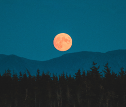 Napi horoszkóp, 2026.02.03: Váratlan szerencse érheti a Kost a pénzügyeiben Napi horoszkóp, 2026.02.03: Váratlan szerencse érheti a Kost a pénzügyeiben