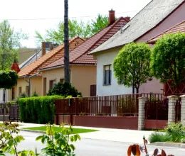 Figyelmeztet a kertész: ilyen fát sose ültess a házad mellé Figyelmeztet a kertész: ilyen fát sose ültess a házad mellé