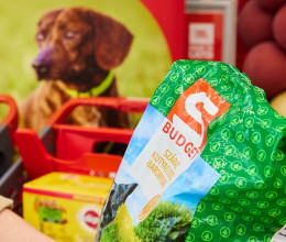 Nem kampány, hanem rendszeres segítség: több tízezer felajánlás a menhelyi kutyáknak és cicáknak