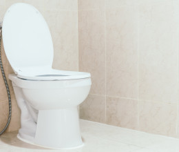 Rémisztő állat jelent meg a magyar vécékben, ami felkúszik a csöveken keresztül