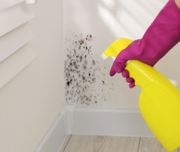 Nem a szódabikarbóna az: ez a filléres por megszünteti a penészt, elég csak a sarkokba szórni