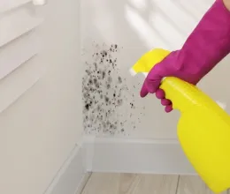 Nem a szódabikarbóna az: ez a filléres por megszünteti a penészt, elég csak a sarkokba szórni Nem a szódabikarbóna az: ez a filléres por megszünteti a penészt, elég csak a sarkokba szórni