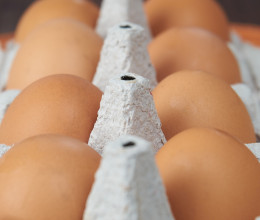 Vörös folt a tojásban: meg lehet enni vagy veszélyes?