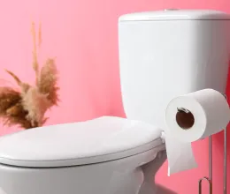 Itt külön szabályozás van a WC-papírra az EU-ban, de sokan ezt kellemetlennek tartják