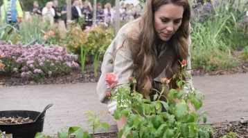 Ez Katalin kedvenc virága: különleges jelentése és Diana miatt kedveli annyira ezt a növényt a hercegné